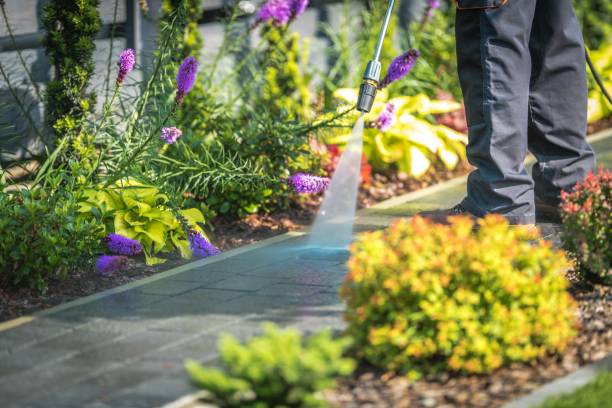 Professional  Pressure Washing Services in Far Hills, NJ